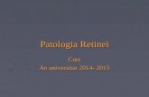 11. patologia retinei