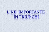 Linii Importante in Triunghi-recapitulare