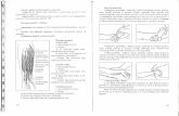 40501329 Ghid Practic de Evaluare Articular a Si Musculara in Kine Tot Era Pie 2 140516112112 Phpapp02