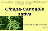 CINEPA Cannabis