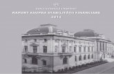 Raportul Stabilitati Financiare 2014