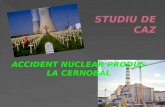 Studiu de Caz Cernobal