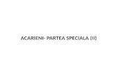 Acarieni- Partea Speciala (II)