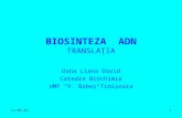 Biosinteza Adn Translatia