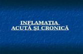 04. Stom - Inflamatia