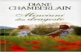 Diane Chamberlain - Minciuni Din Dragoste