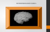 Neuropsihologie Clinica Curs 1
