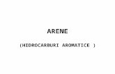 ARENE(compusi organici)