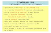Standardul SDH - Synchronous Digital Hierarchy