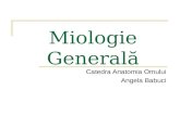 Miologie Gener Nou (1)