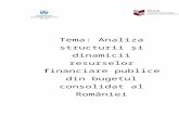 Analiza Structurii Si Dinamicii Resurselor Financiare Din Bugetul Consolidat Al Romaniei(Murafa Cristin Grupa 2321)