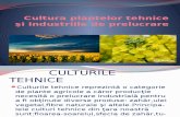 Cultura Plantelor Tehnice Si Industriile de Prelucrare