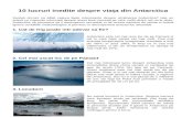 10 lucruri inedite despre viaţa din Antarctica.docx