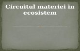 Circuitul materiei in ecosistem