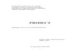 Proiect Roll Pork de pe net.doc