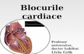 blocurile cardiace final + ECS