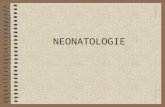 Neonatologie 2010 Curs