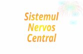 sn central.ppt