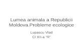 Lumea Animala a Republicii Moldova
