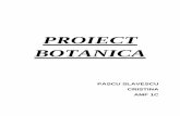 Proiect Botanica(1)
