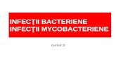 Cursul 3 Bacterii
