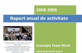 Raport de Activitate Team Work 2008-2009