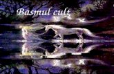 Prezentare Model - Basmul Cult