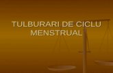 Tulburari de Ciclu Menstrual