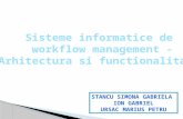 Sisteme Informatice de Workflow Management - Final