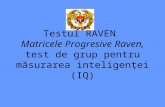 1013 Testul Raven 2f