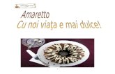 Amaretto proiect contabilitate