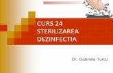 curs_24 (1) virusologie