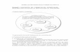 TEORIA ŞI METODOLOGIA CURRICULUMULUI+ curs pdf (1)
