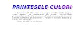 Culorile _printeselor
