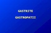 2.Gastrite u015Fi Gastropatiile Prof. Dr. Stoica