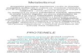 metabolismul protidic