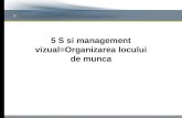 5S & Visual Management