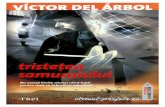 Victor del Arbol - Tristetea samuraiului.docx