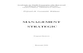 C.bratianu - Management strategic