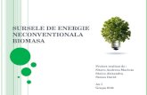 SURSELE DE ENERGIE NECONVENTIONALA proiect.ppt