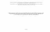 2013-01-metodologia ssm.pdf
