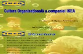 Analiza Culturii Organizationale n Cadrul Companiei Ikea Www.student-Info.ro