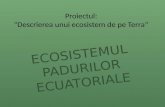 proiect ecologia unui ecosistem.pptx