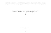 Cultura Mediesana 2012 Text