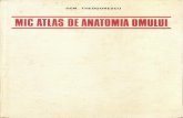 Dem Theodorescu - Atlas Anatomie.pdf