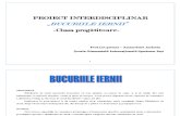 PROIECT INTERDISCIPLINAR BUCURIILE IERNII.docx