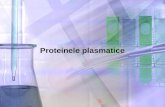 Curs 4 Proteinele Plasmatice