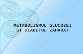 Curs 6 Metabolismul Glucidic.diabet Zaharat. Hipoglicemii