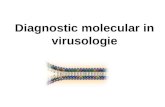 Dg Molecular HIV 2013 (2)