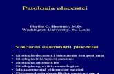 Patologia Placentei
